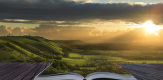 Libri arte 291 0 Libri arte